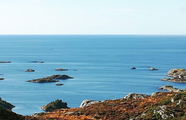 6 Person Holiday Home in Kalvag - Foto 15