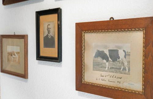 Friesenhof Nordsee - Photo 27