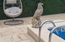 Villa Rosa de los Vientos - Foto 18