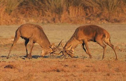 La Casa de Oti playa Mazagón vistas al mar - Foto 42