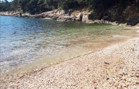 Apartments Alenka by the sea - Foto 55