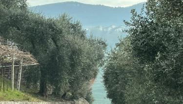 Agriturismo Cascina Capo - Foto 4