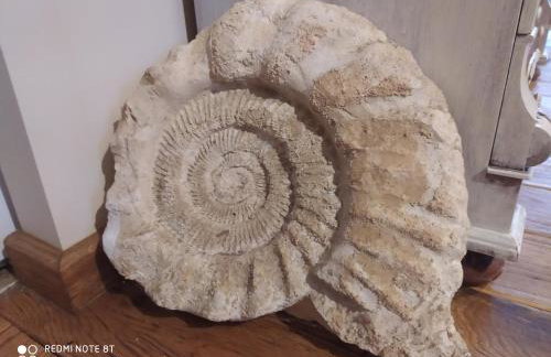 Kamiennikove - Foto 12