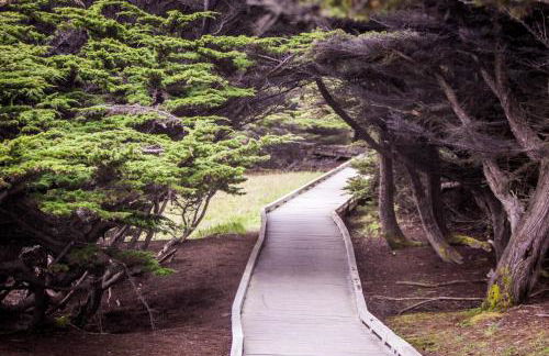 Dolphin Manor - Foto 25