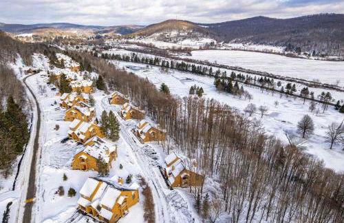 Ski-In Ski-Out SnowPine Village Townhouse - Foto 41