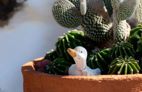 Las Casas de la Rueda - La Casita - Foto 16