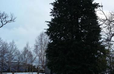 Casa da Corga - Foto 9