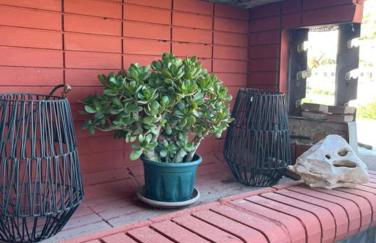 Sofia Skyros - Photo 9