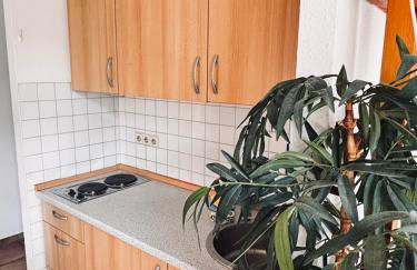 Apartment Molea - Foto 13