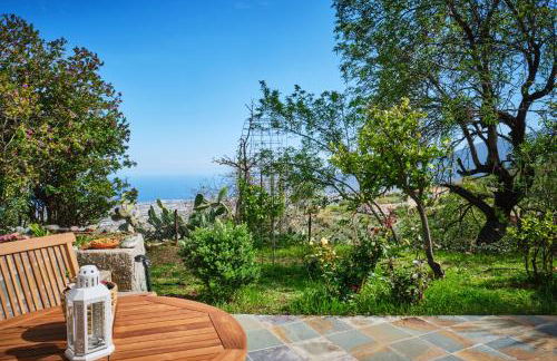 Tizziri rural - Foto 3