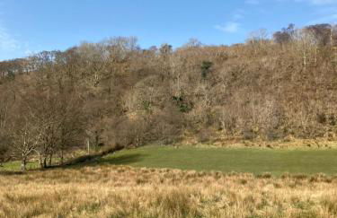 Springbank Apartment - Sleeps 4 - Pet Friendly - Photo 28