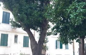 Roma centro little house of testaccio - Foto 32