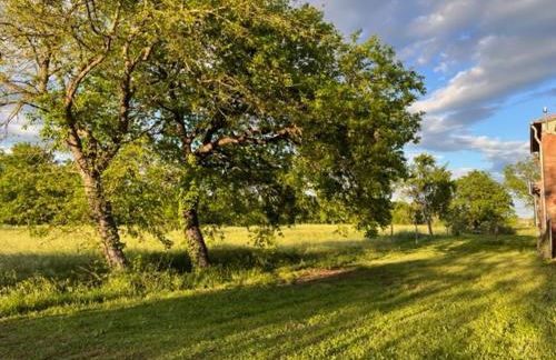 Appartamento Il Picchio Verde - Foto 26