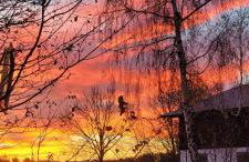 Ferienwohnung Bayerwaldblick - Foto 20