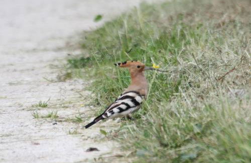 Le refuge de Chambord - Photo 35
