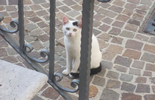 Casa Vacanze "Pietra viva" - Foto 55