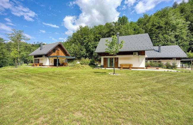 Stari Malni 1 - Photo 43