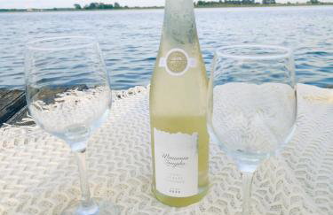 Sauna balia - Nowa Osada Domki przy plaży - całoroczne domki na Mazurach - Foto 28