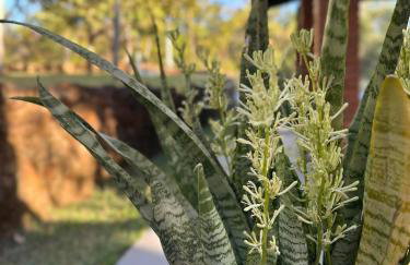 Casa para relaxar em Chapada dos Guimarães - Foto 22