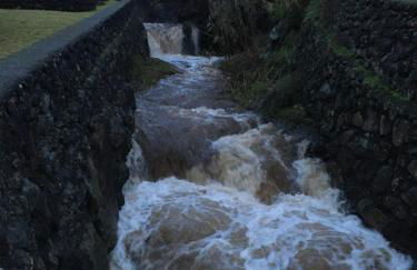 Casa Às Oito - Photo 43