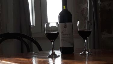 Kuća za odmor Slavija - Foto 2