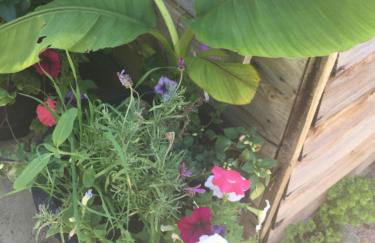 Kingfisher cottage, free parking - Foto 33