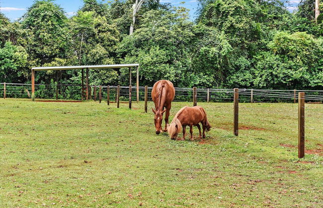 The Cottages - Foto 32