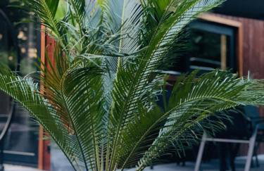 Willa Abra Cadabra - Foto 38