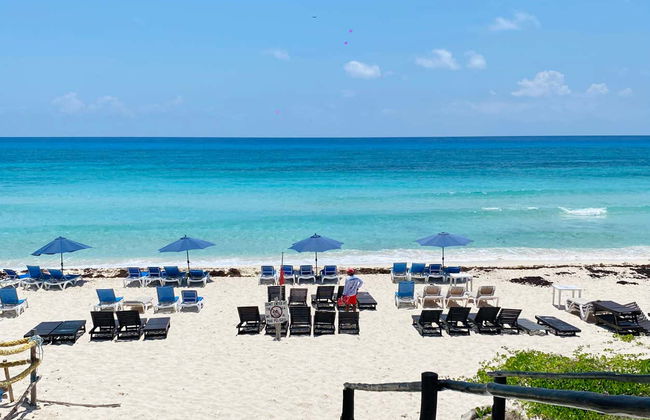 Mustang Tour in Cozumel - Photo 4