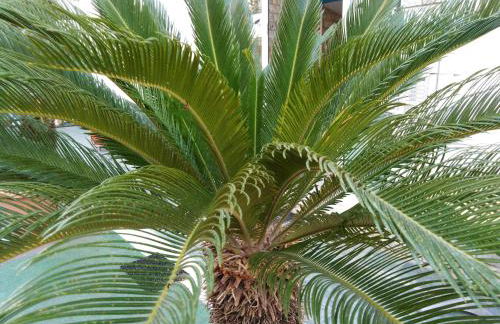 85 sqm Apartments New Panorama ELECTRIC CAR ΦΩΡΤΗΣΗΣ STATION - Foto 44