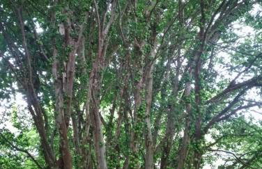 Quinta da Pedra do Elefante - Foto 19