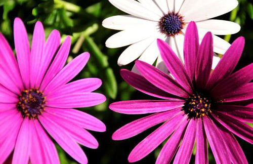 Quaint & Peaceful Barcelos Villa 3 Bedrooms Villa Mycenaean Private Pool - Foto 23