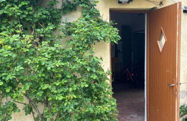 Alle Pratoline Casa vacanze spaziosa vicino Trieste e mare con deposito bici e moto coperto - Foto 4