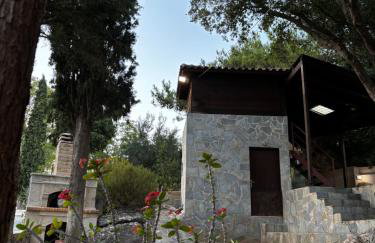 Elis superb villa - Foto 7