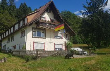 Ferienhof Ziegler- Sonnenschein - Foto 1