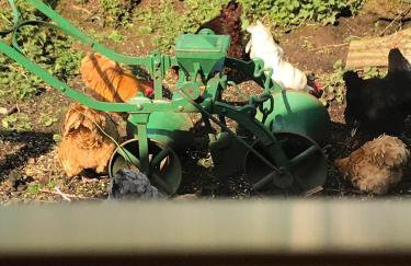 The Nook @ Rowan Tree Cottage - Foto 29