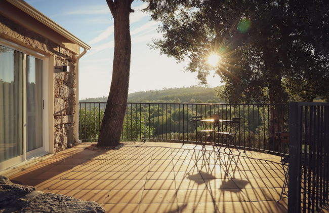 I Love Dão - Casas Da Fraga - Photo 38