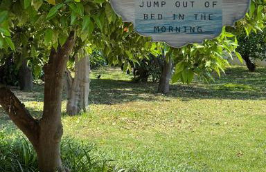 Carpe Diem Corinthian Suites Ι - Foto 2