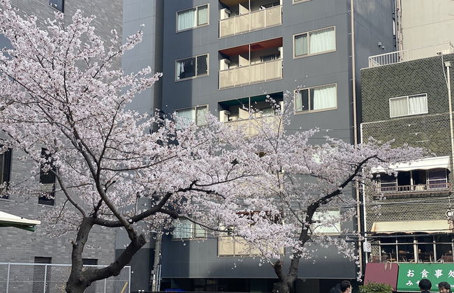 HOTEL ffosaka.com - Foto 57