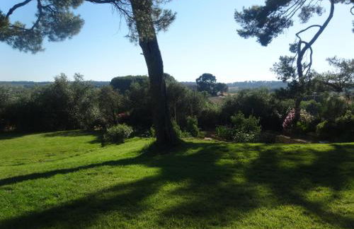 Lodge Montagnac - Foto 15