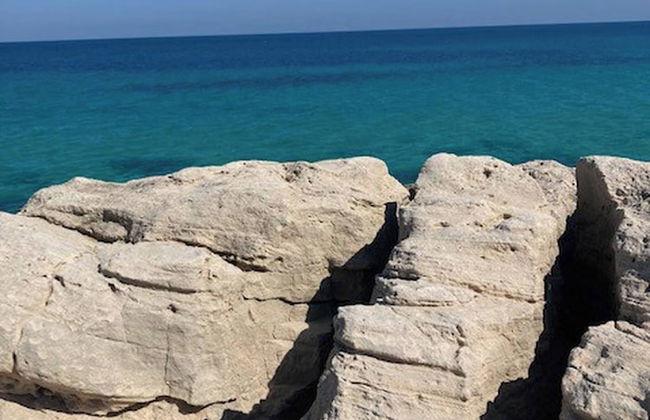 Villa Dar Dart Djerba 8 People - Foto 11