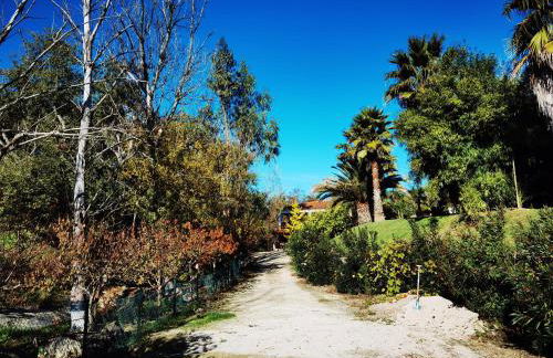 Quinta do Vale Encantado "the Valley" - Santarém - Portugal - Foto 39