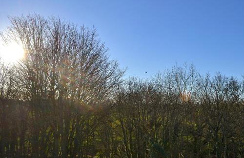 Marley's Retreat - Foto 18