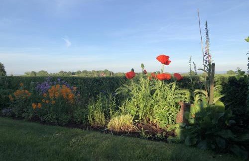 Betula Views - Photo 19