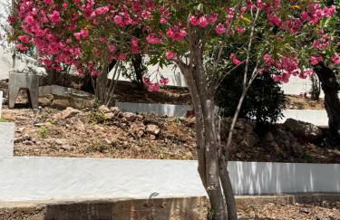 Solar dos Lirios - Foto 66