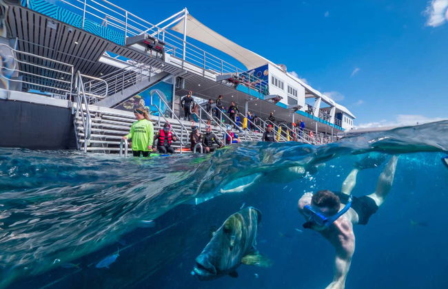 Excursión a la Gran Barrera de Coral y plataforma Reef Magic - Foto 4