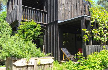 Eco-lodges Lacanau Moutchic Inn - 4 pers - Foto 3