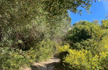 Appartement Eze Village proche Monaco fabuleuse vue mer et vieux village - Foto 37