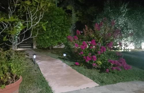 Alexandra's garden - Photo 17