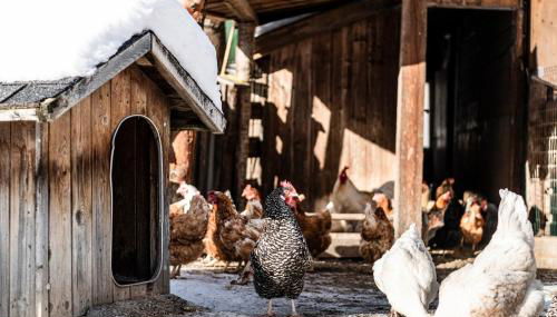 Christlrumerhof - Photo 5